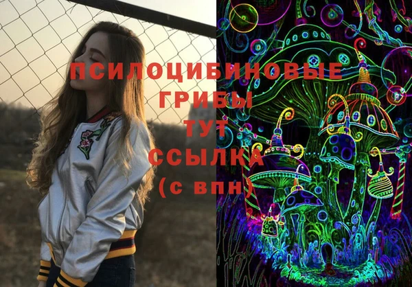 индика Бронницы